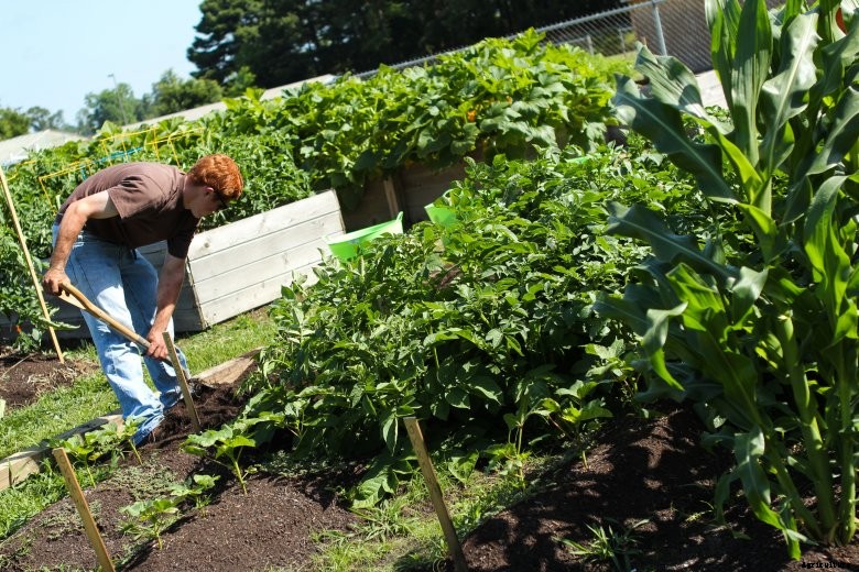 Wayne-Community-College-2